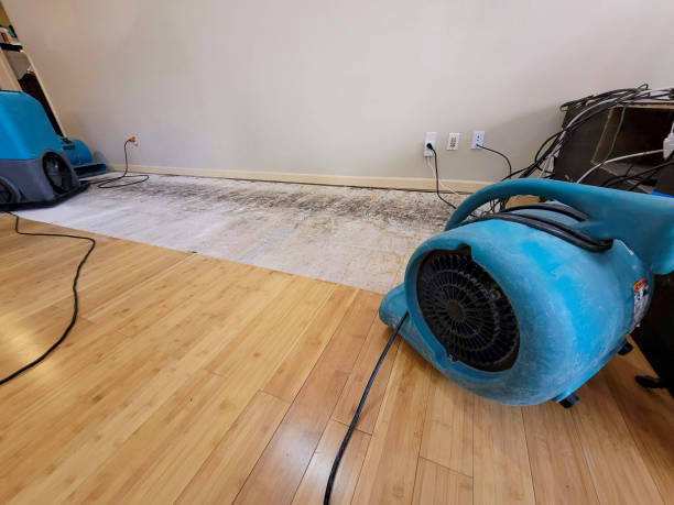 Professional Flood Damage Cleanup technician working in Casco, MI